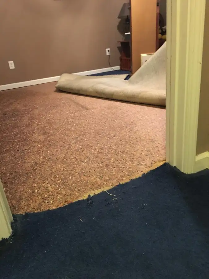 Carpet pad removal revealing water damage during Drying & Dehumidification in Anna