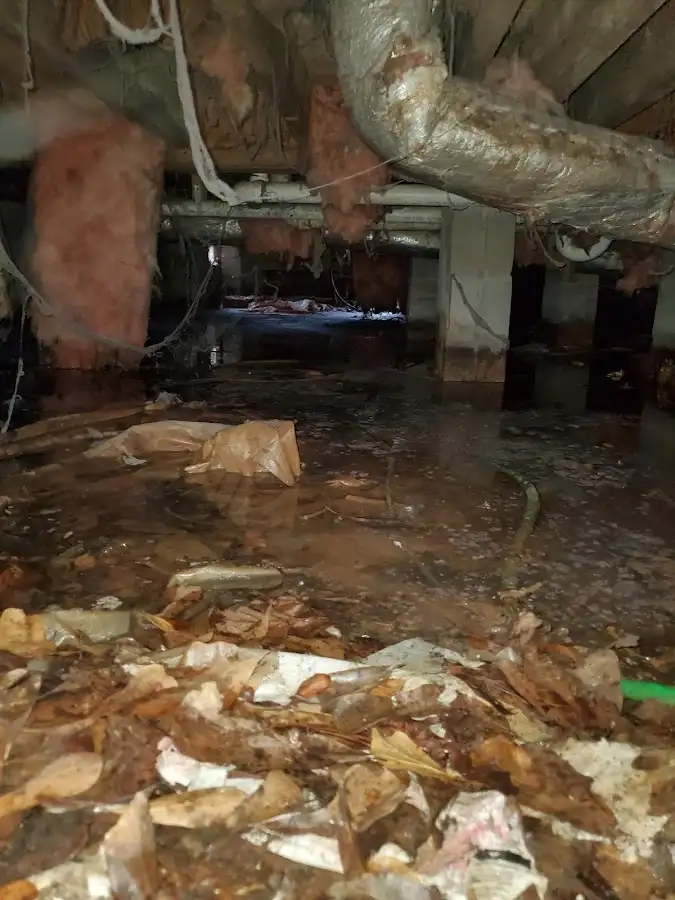 Crawl space flood assessment for Leak Detection & Repair in Anna