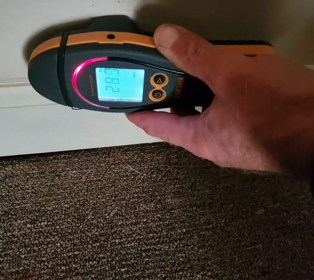 Moisture detection at baseboard during Burst Pipe Cleanup in Anna
